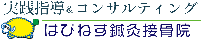 実践指導＆コンサルティング ｜ はぴねす整骨院